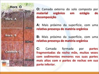 O: Camada externa do solo composta por
material orgânico em estágio de
decomposição
A: Mais próximo da superfície, com uma
relativa presença de matéria orgânica
B: Mais próximo da superfície, com uma
relativa presença de matéria orgânica
C: Camada formada por partes
fragmentadas da rocha mãe, muitas vezes
com sedimentos menores nas suas partes
mais altas com e partes de rochas em sua
parte inferior.
Horz. O
 