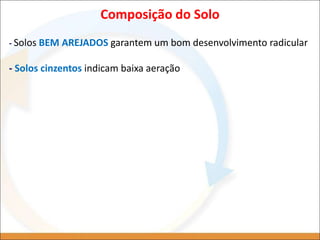 Composição do Solo
- Solos BEM AREJADOS garantem um bom desenvolvimento radicular
- Solos cinzentos indicam baixa aeração
 