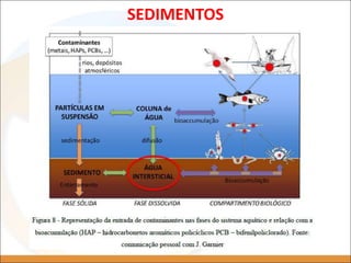 SEDIMENTOS
 