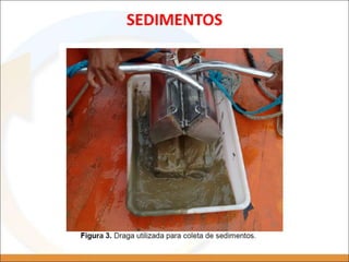 SEDIMENTOS
 