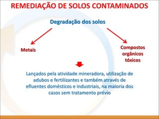 Degradação dos solos
REMEDIAÇÃO DE SOLOS CONTAMINADOS
Metais Compostos
orgânicos
tóxicos
Lançados pela atividade mineradora, utilização de
adubos e fertilizantes e também através de
efluentes domésticos e industriais, na maioria dos
casos sem tratamento prévio
 