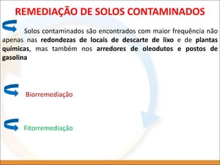 REMEDIAÇÃO DE SOLOS CONTAMINADOS
Solos contaminados são encontrados com maior frequência não
apenas nas redondezas de locais de descarte de lixo e de plantas
químicas, mas também nos arredores de oleodutos e postos de
gasolina
Biorremediação
Fitorremediação
 