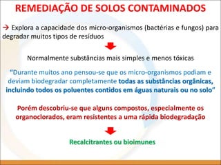 REMEDIAÇÃO DE SOLOS CONTAMINADOS
 Explora a capacidade dos micro-organismos (bactérias e fungos) para
degradar muitos tipos de resíduos
Normalmente substâncias mais simples e menos tóxicas
“Durante muitos ano pensou-se que os micro-organismos podiam e
deviam biodegradar completamente todas as substâncias orgânicas,
incluindo todos os poluentes contidos em águas naturais ou no solo”
Porém descobriu-se que alguns compostos, especialmente os
organoclorados, eram resistentes a uma rápida biodegradação
Recalcitrantes ou bioimunes
 