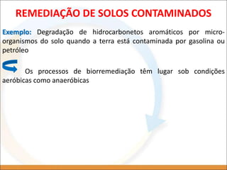 REMEDIAÇÃO DE SOLOS CONTAMINADOS
Exemplo: Degradação de hidrocarbonetos aromáticos por micro-
organismos do solo quando a terra está contaminada por gasolina ou
petróleo
Os processos de biorremediação têm lugar sob condições
aeróbicas como anaeróbicas
 