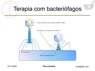 Terapia com bacteriófagos 10/11/2009 
