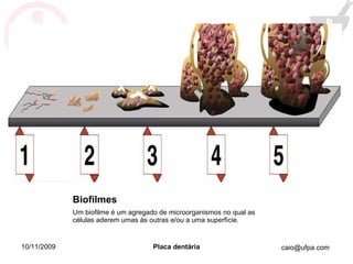 Biofilmes Um biofilme é um agregado de microorganismos no qual as células aderem umas às outras e/ou a uma superfície. 10/11/2009 Placa dentária 
