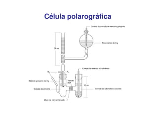 Célula polarográfica

 