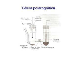 Célula polarográfica

 