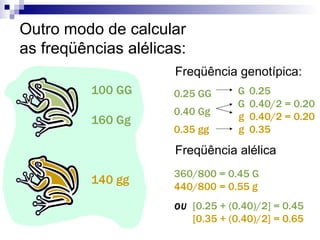 100 GG 160 Gg 140 gg Outro modo de calcular as freqüências alélicas: Freqüência genotípica: Freqüência alélica 0.25 GG 0.40 Gg 0.35 gg 0.25 0.40/2 = 0.20 0.40/2 = 0.20 0.35 360/800 = 0.45 G 440/800 = 0.55 g OU   [0.25 + (0.40)/2] = 0.45 [0.35 + (0.40)/2] = 0.65 G g G g 