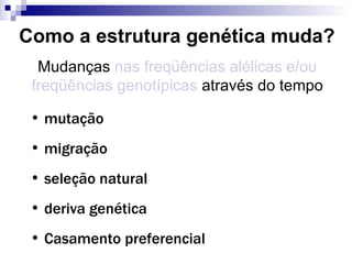 Como a estrutura genética muda? Mudanças  nas freqüências alélicas e/ou freqüências genotípicas  através do tempo mutação migração seleção natural deriva genética Casamento preferencial 