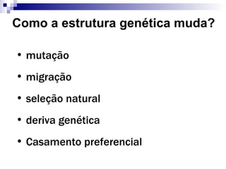 Como a estrutura genética muda? mutação migração seleção natural deriva genética Casamento preferencial 