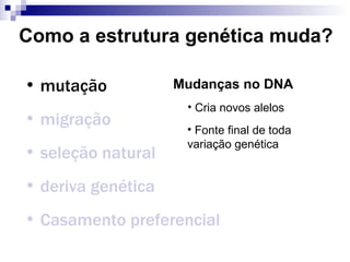 Como a estrutura genética muda? mutação migração seleção natural deriva genética Casamento preferencial Mudanças no DNA Cria novos alelos Fonte final de toda variação genética 