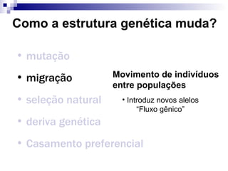 Como a estrutura genética muda? mutação migração seleção natural deriva genética Casamento preferencial Movimento de indivíduos entre populações Introduz novos alelos “ Fluxo gênico” 