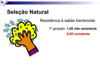Seleção Natural Resistência à sabão bactericida 1 ª geração:  1,00 não resistente 0,00 resistente 