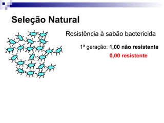 Seleção Natural Resistência à sabão bactericida 1 ª geração:  1,00 não resistente 0,00 resistente 
