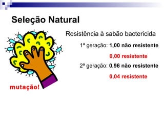 Seleção Natural Resistência à sabão bactericida mutação! 1 ª geração:  1,00 não resistente 0,00 resistente 2 ª geração:  0,96 não resistente 0,04 resistente 