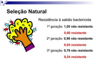 Seleção Natural Resistência à sabão bactericida 1 ª geração:  1,00 não resistente 0,00 resistente 2 ª geração:  0,96 não resistente 0,04 resistente 3 ª geração:  0,76 não resistente 0,24 resistente 