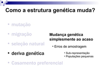 Como a estrutura genética muda? mutação migração seleção natural deriva genética Casamento preferencial Mudança genética simplesmente ao acaso Erros de amostragem Sub-representação Populações pequenas 