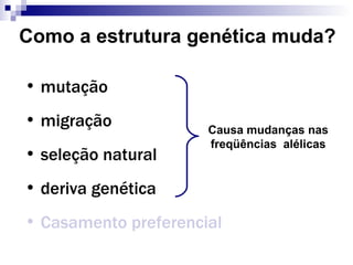 Como a estrutura genética muda? mutação migração seleção natural deriva genética Casamento preferencial Causa mudanças nas freqüências  alélicas 