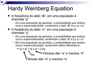 Hardy Weinberg Equation A freqüência do alelo “ A ”: em uma população é chamada “p” Em uma população de gametas, a probabilidade que ambos, ovos e espermatozóides, contenham o alelo “ A ” é p x p = p 2 A freqüência do alelo “a”: em uma população é chamada “q” Em uma população de gametas, a probabilidade que ambos, ovos e espermatozóides, contenham o alelo “ a ” é q x q = q 2 Em uma população de gametas, a probabilidade que ambos, ovos e espermatozóides, contenham alelos diferentes é: (p x q) + (q x p) = 2 pq. Fêmeas dão “A” e machos “a” ou Fêmeas dão “a” e machos “A” 