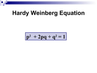 Hardy Weinberg Equation p 2   + 2pq + q 2  = 1 
