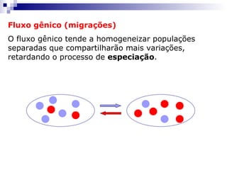 Fluxo gênico (migrações) O fluxo gênico tende a homogeneizar populações separadas que compartilharão mais variações, retardando o processo de  especiação . 