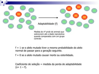 Medida do nº prole de animais que sobrevivem até a idade reprodutiva quando comparados com um grupo controle. f = 1 se o alelo mutado tiver a mesma probabilidade do alelo normal de passar para a geração seguinte. f = 0 se o alelo mutado causar morte ou esterilidade. Coeficiente de seleção = medida da perda de adaptabilidade (s= 1 – f).  Adaptabilidade (f) 