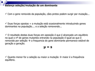 Balanço seleção/mutação de um dominante Com o gene removido da população, cães pretos podem surgir por mutação... Duas forças opostas = a mutação está ocasionalmente introduzindo genes dominantes na população.... e a seleção removendo... O resultado destas duas forças em oposição é que é alcançado um equilibrio no qual o nº de genes mutantes entrando na população é igual ao que é removido por seleção    a frequencia do gene dominante permanece estável de geração a geração.  μ  = s Quanto menor for a seleção ou maior a mutação    maior é a frequência equilíbrio.  