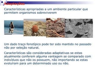 Adaptações Características apropriadas a um ambiente particular que permitem organismos sobreviverem Um dado traço fenotípico pode ter sido mantido no passado não por seleção natural. Características são consideradas adaptativas se estas atualmente conferem alguma vantagem se comparado com indivíduos que não os possuem, não importando se estas evoluíram para um determinado uso ou não. 