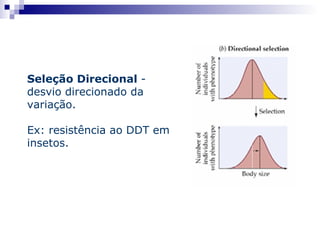 Seleção Direcional  - desvio direcionado da variação. Ex: resistência ao DDT em insetos. 