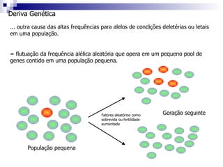 Deriva Genética ... outra causa das altas frequências para alelos de condições deletérias ou letais em uma população. = flutuação da frequência alélica aleatória que opera em um pequeno pool de genes contido em uma população pequena.  População pequena Fatores aleatórios como sobrevida ou fertilidade aumentada Geração seguinte 