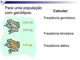 100 GG 160 Gg 140 gg Para uma população com genótipos: Calcular: Freqüência genotípica: Freqüência fenotípica Freqüência alélica 