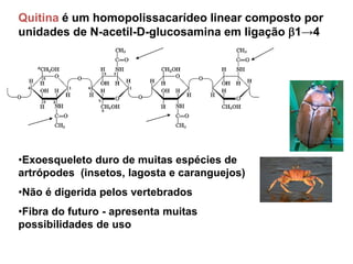 aula-8---carboidratos---oligo_polissacarideos-2022.pdf