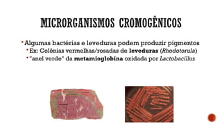 Algumas bactérias e leveduras podem produzir pigmentos
 Ex: Colônias vermelhas/rosadas de leveduras (Rhodotorula)
 "anel verde" da metamioglobina oxidada por Lactobacillus
 
