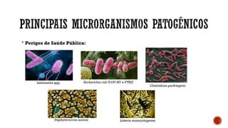  Perigos de Saúde Pública:
Salmonella spp. Escherichia coli O157:H7 e VTEC
Clostridium perfringens
Staphylococcus aureus Listeria monocytogenes
 