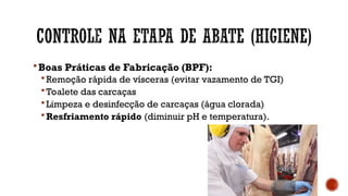 Boas Práticas de Fabricação (BPF):
 Remoção rápida de vísceras (evitar vazamento de TGI)
 Toalete das carcaças
 Limpeza e desinfecção de carcaças (água clorada)
 Resfriamento rápido (diminuir pH e temperatura).
 