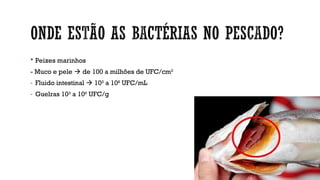  Peixes marinhos
- Muco e pele  de 100 a milhões de UFC/cm2
- Fluido intestinal  103
a 108
UFC/mL
- Guelras 103
a 106
UFC/g
 