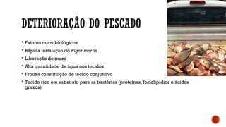  Fatores microbiológicos
 Rápida instalação do Rigor mortis
 Liberação de muco
 Alta quantidade de água nos tecidos
 Frouxa constituição de tecido conjuntivo
 Tecido rico em substrato para as bactérias (proteínas, fosfolipídios e ácidos
graxos)
 