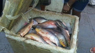 Aula - 8 Microbiologia da carne e do pescado.ppt