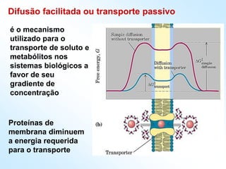 Difusão facilitada ou transporte passivo
Proteínas de
membrana diminuem
a energia requerida
para o transporte
é o mecanismo
utilizado para o
transporte de soluto e
metabólitos nos
sistemas biológicos a
favor de seu
gradiente de
concentração
 