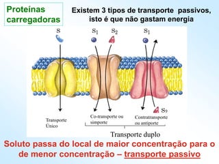 Existem 3 tipos de transporte passivos,
isto é que não gastam energia
Transporte
Único
Co-transporte ou
simporte
Contratransporte
ou antiporte
Transporte duplo
Soluto passa do local de maior concentração para o
de menor concentração – transporte passivo
Proteínas
carregadoras
 