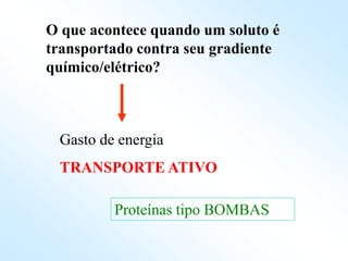 O que acontece quando um soluto é
transportado contra seu gradiente
químico/elétrico?
Gasto de energia
TRANSPORTE ATIVO
Proteínas tipo BOMBAS
 