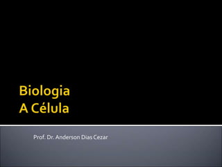 Prof. Dr. Anderson Dias Cezar
 