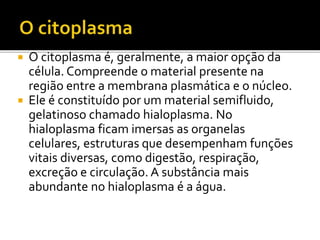  O citoplasma é, geralmente, a maior opção da
célula. Compreende o material presente na
região entre a membrana plasmática e o núcleo.
 Ele é constituído por um material semifluido,
gelatinoso chamado hialoplasma. No
hialoplasma ficam imersas as organelas
celulares, estruturas que desempenham funções
vitais diversas, como digestão, respiração,
excreção e circulação. A substância mais
abundante no hialoplasma é a água.
 