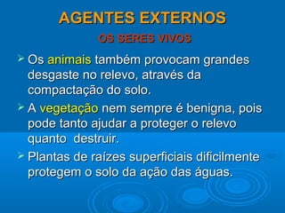 AGENTES EXTERNOSAGENTES EXTERNOS
OS SERES VIVOSOS SERES VIVOS
 OsOs animaisanimais também provocam grandestambém provocam grandes
desgaste no relevo, através dadesgaste no relevo, através da
compactação do solo.compactação do solo.
 AA vegetaçãovegetação nem sempre é benigna, poisnem sempre é benigna, pois
pode tanto ajudar a proteger o relevopode tanto ajudar a proteger o relevo
quanto destruir.quanto destruir.
 Plantas de raízes superficiais dificilmentePlantas de raízes superficiais dificilmente
protegem o solo da ação das águas.protegem o solo da ação das águas.
 