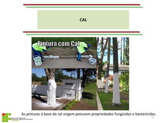 CAL
71
As pinturas à base de cal virgem possuem propriedades fungicidas e bactericidas.
 