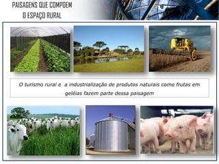 AGRICULTURA
 
