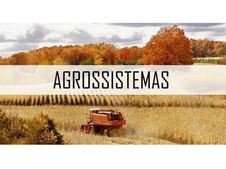 EXPORTAÇÕES E IMPORTAÇÕES
 