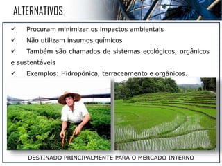  Utilização da tração animal
 Trabalho Humano
 Tecnologia mínima ou ausente
 Exemplos: Pastoreio nômade, sistema de roças, agricultura de jardinagem e o
plantation.
GRANDE PARTE DA PRODUÇÃO DESTINADO AO MERCADO INTERNO E SUBSISTÊNCIA
TRADICIONAIS
 