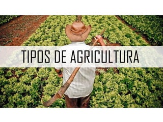  Utilização de tecnologias (adubos, transgênicos, maquinário agrícola)
 Emprega menos mão de obra que os agrossistemas tradicionais
 Utilização de tecnologia no transporte da produção
 Exemplo: Agricultura empresarial.
MODERNOS
GRANDE PARTE DA PRODUÇÃO ABASTECE O MERCADO EXTERNO
 
